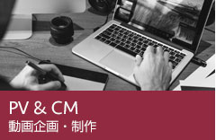 PVCM